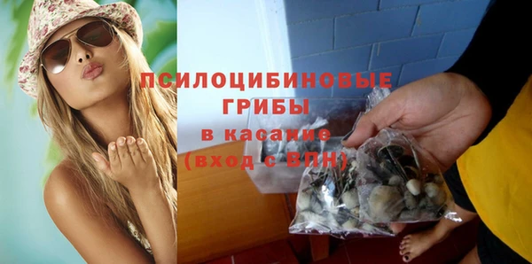 дживик Балахна
