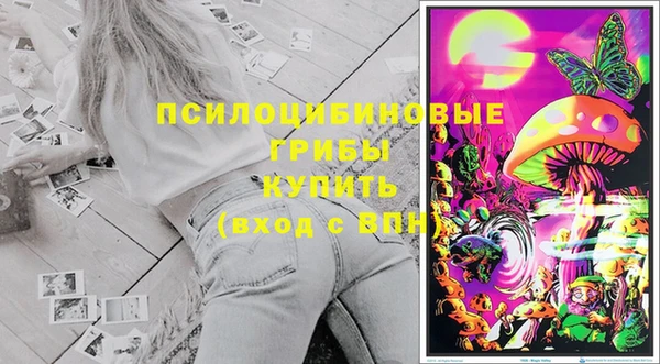 спайс Баксан