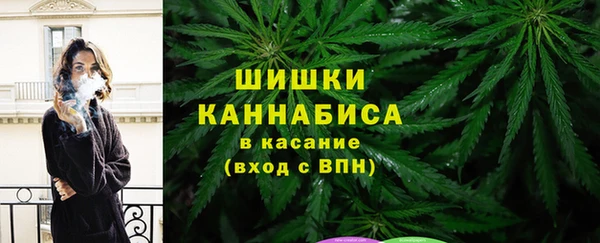 спайс Баксан