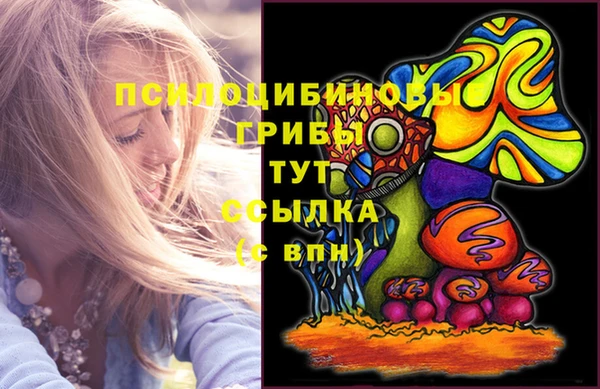 гидропоника Балабаново